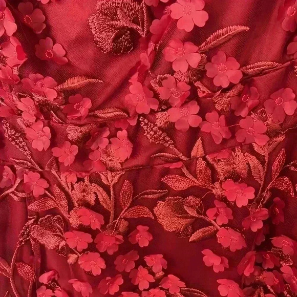 Torrid 3D Floral Mesh Puff Sleeve Skater Dress Red, Size 30 - Picture 6 of 6